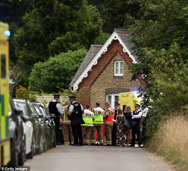 Emergency services at the scene of the horror crash in Wimbledon