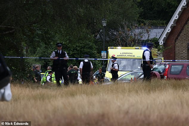 Dozens of officers and emergency workers remain at the scene near Wimbledon Common