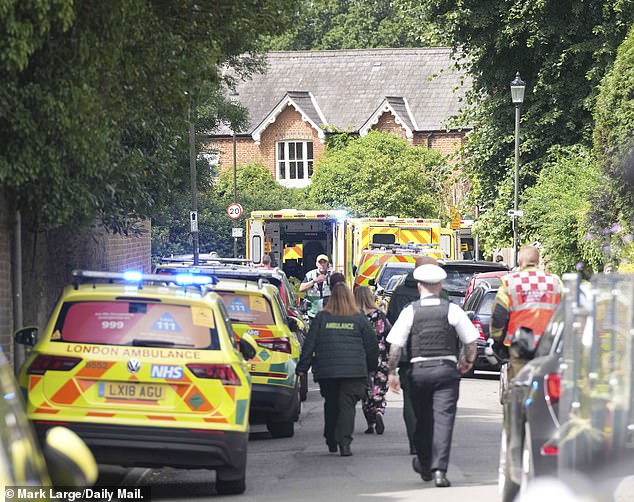 Sky News' Jacquie Beltrao, who is at the scene, said: 'This is a very small road just off Wimbledon common. Its really narrow and very quiet. I can see about eight ambulances'