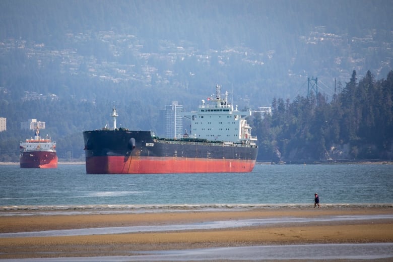 Two large container ships on the water with trees and a green suspension bridge in the background. 