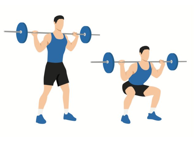 barbell back squat illustration