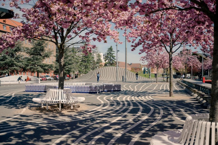 Cherry blossom trees dotted around a skating rink in Superkilen park 