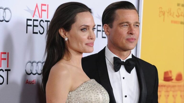 ‘Petulant’ Brad Pitt accused of ‘looting’ Provence vineyard he owned with Angelina Jolie