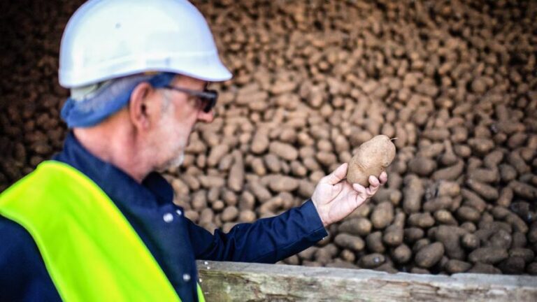 Researchers’ recipe for cutting restaurant food waste