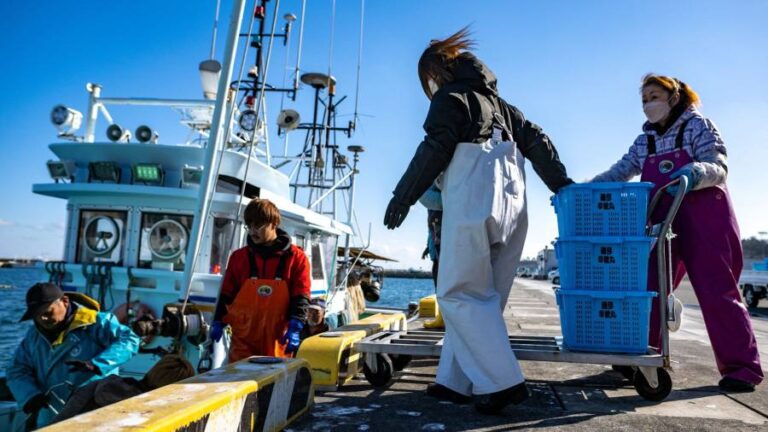 Japan’s food producers aim to cultivate a taste for fake fish