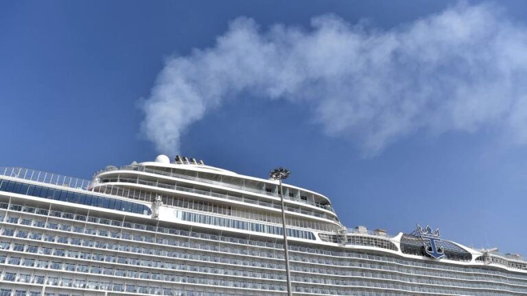 Cruise lines: operating leverage plus financial leverage powers ocean-goers