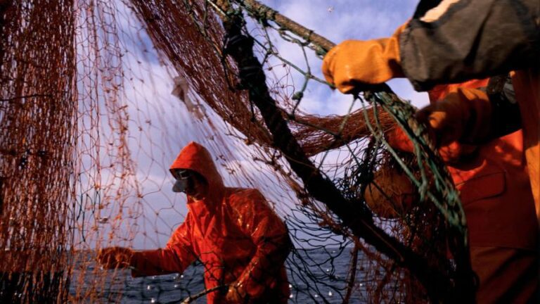 Top UK food retailers launch probe into mistreatment of migrant fishers