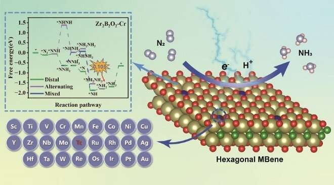 Hexagonal MBene: A promising platform for the electrocatalytic nitrogen reduction reaction