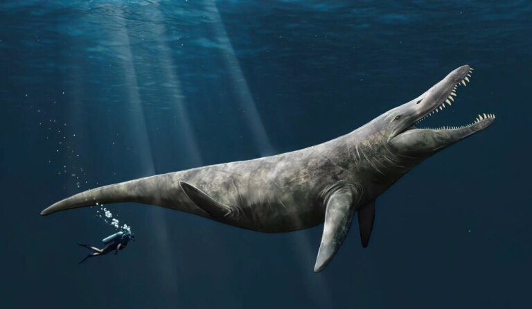 Twice the Size of a Killer Whale – New Evidence Suggests Giant Pliosaurs Swam in Late Jurassic Seas