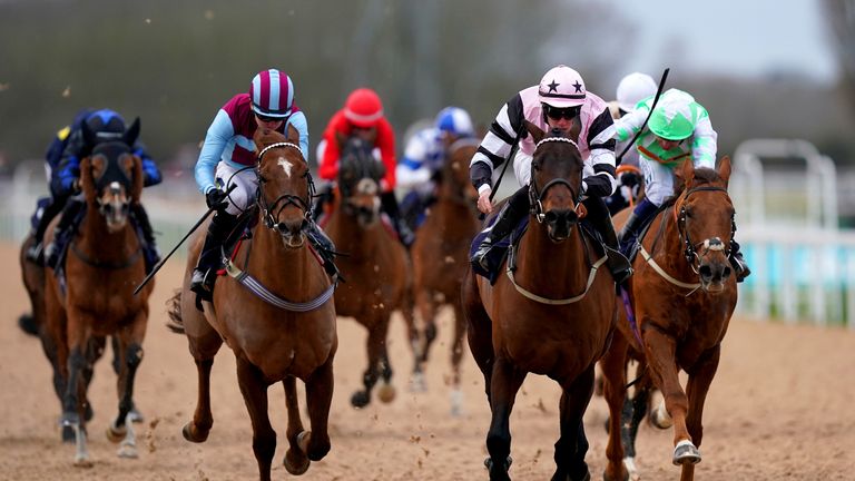 Walking On Clouds (pink) was the inaugural All-Weather Horse of the Year after five wins during the 2022/23 campaign