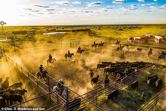 Billionaire cowboys snap up America’s sprawling ranches, like $350m Yellowstone estate