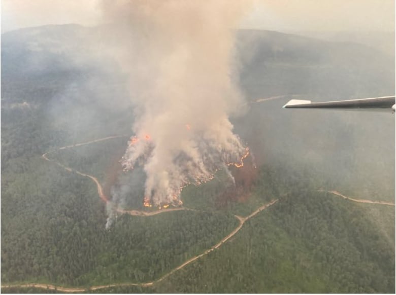 A large fire releases plumes of smoke in a forested area.