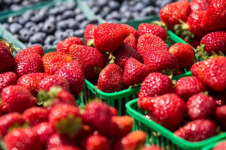 Baskets of strawberries sit on a table with blueberries in the background.