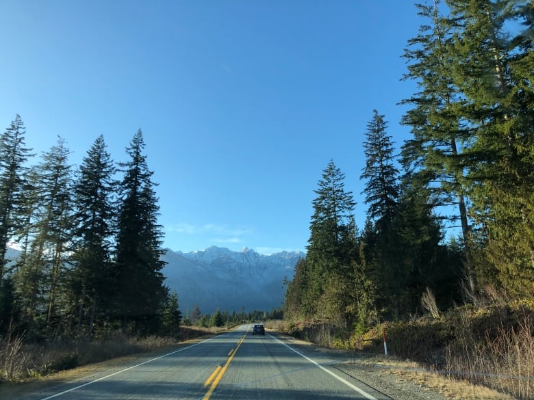 A two-lane highway with tall, coniferous trees on both sides of the road and tall snow-capped mountains in the distance.