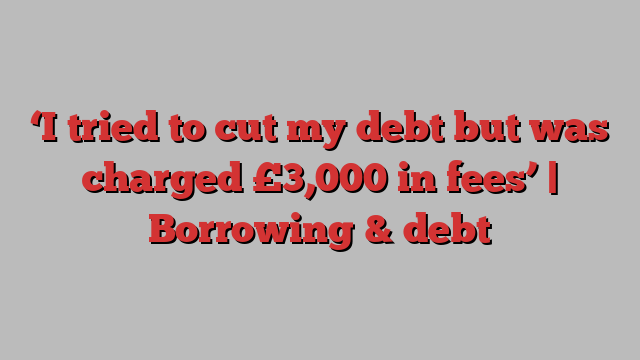 ‘I tried to cut my debt but was charged £3,000 in fees’ | Borrowing & debt