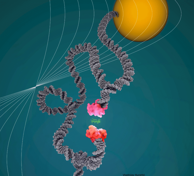 A Novel Method To Test Protein Bonds