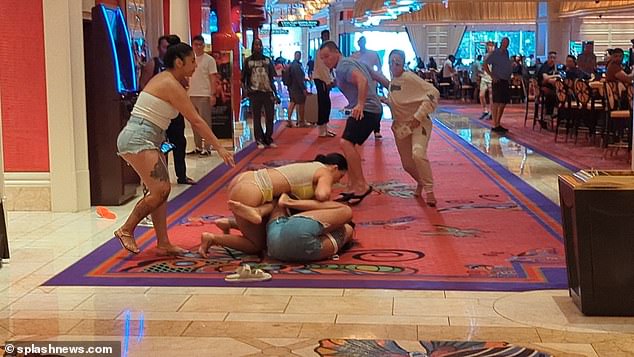 Las Vegas: Moment vicious cat fight erupts in Sin City hotel