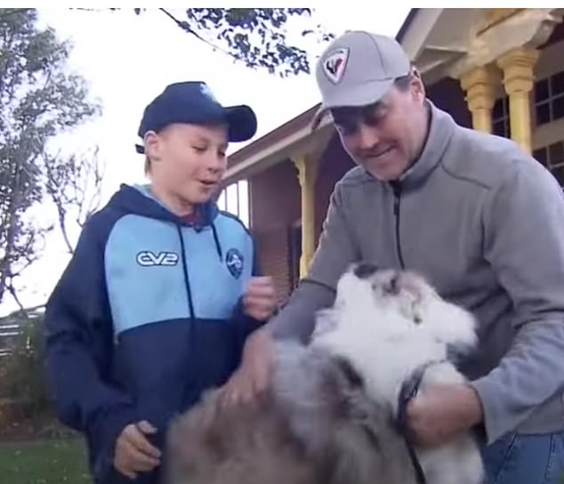 Moment Bowie the blind dog is reunited with his family, 300km away from Gold Coast home