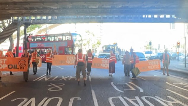 Motorist rips banners out of Just Stop Oil eco zealots’ hands and dumps them on the side of the road