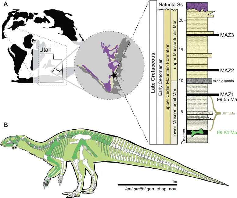 Early-Diverging Iguanodontian