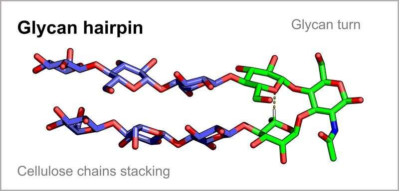 New Discovery Toward sugar origami