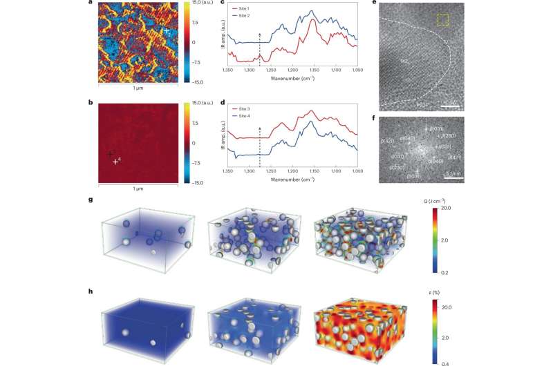 New ferroelectric material could give robots muscles