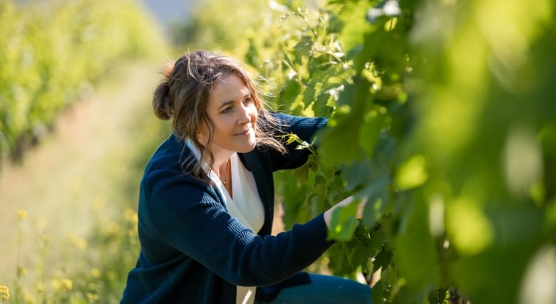 A winemaker inspects the vines in a vineyard.