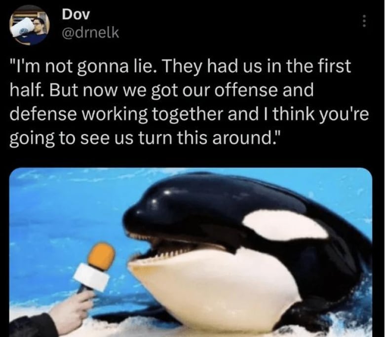 An orca speaking into a microphone with the caption: "I'm not gonna lie. They had us in the first half... you're going to see us turn this around."