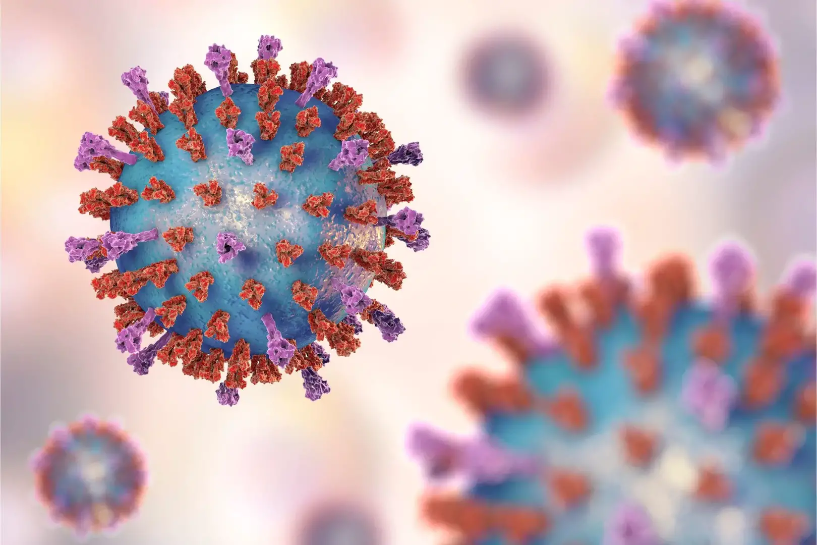 Respiratory Syncytial Virus Particles