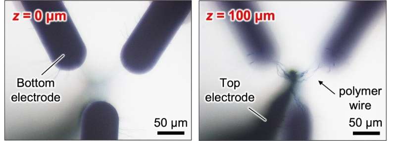 Growing bio-inspired polymer brains for artificial neural networks