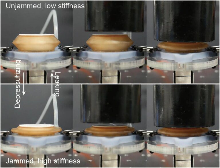 A Simple Sponge Has Improved How Robots Grasp