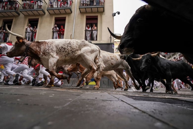 People run down a street ahead of bulls in Pamplona, Spain.