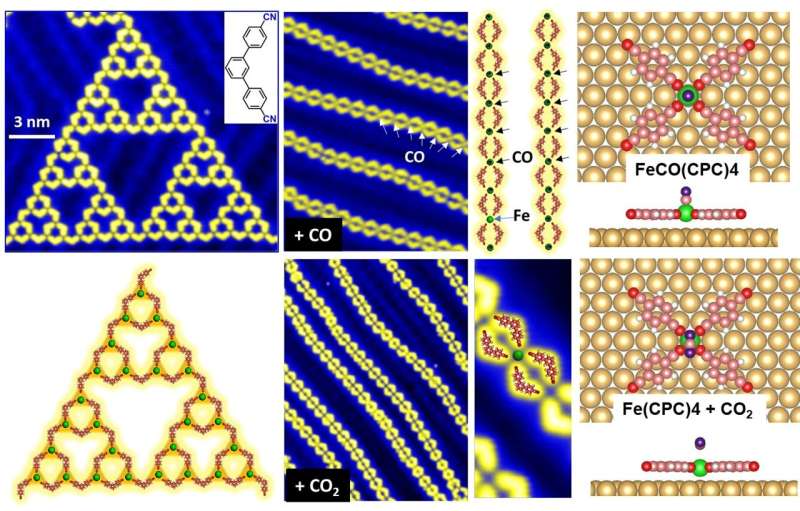 Structure transformation from Sierpiński triangles to chains assisted by CO and CO2 molecules