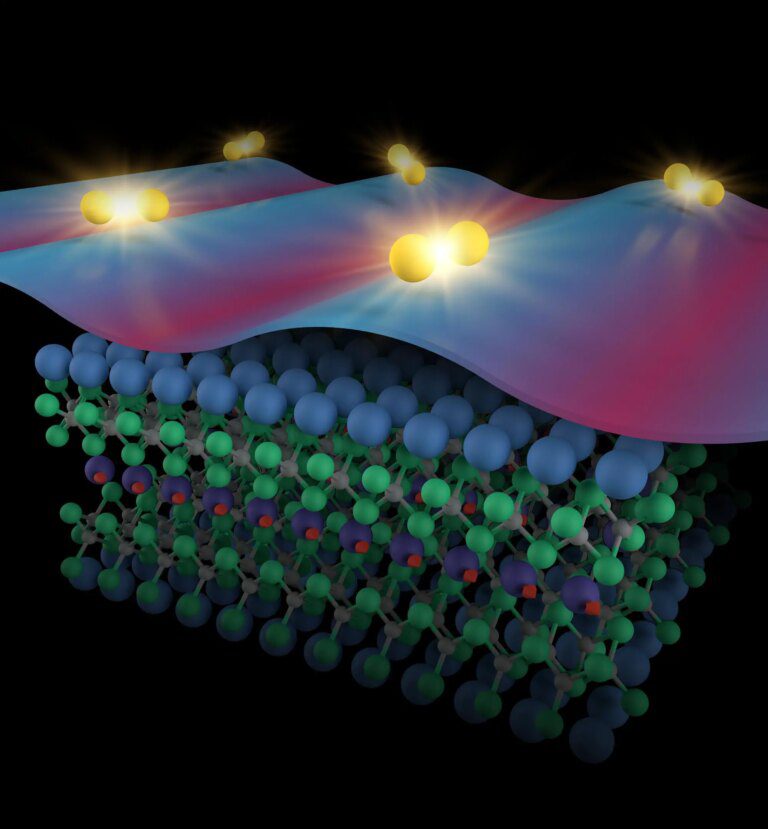 First Direct Visualization of a Zero-Field Pair Density Wave