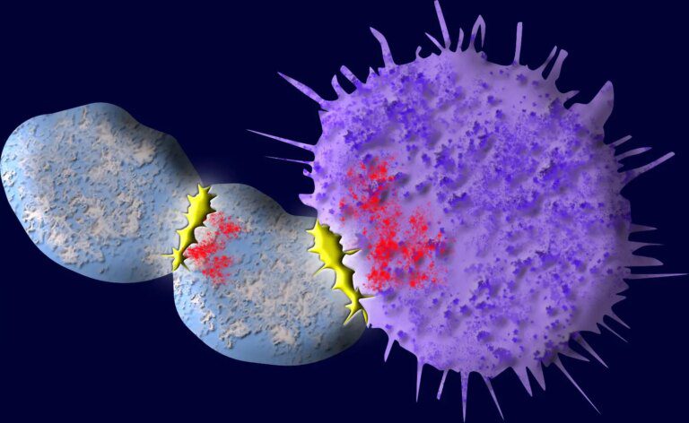 Yale Scientists Discover New Way To Reduce Friendly Fire in Cell Therapy