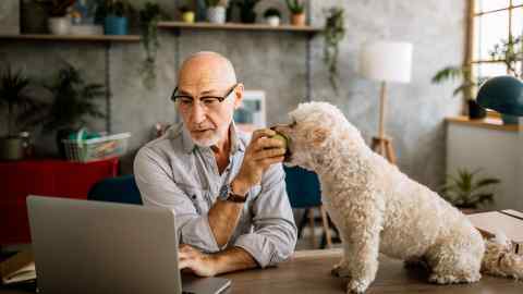 A man sitting in his home with his pet dog, engaged in what looks like a video call. Shelves of knick-knacks stand against the wall behind him