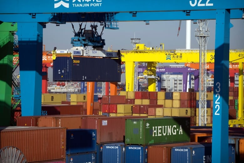 A large, blue container crane lifts a container above many other containers stacked on top of one another. 