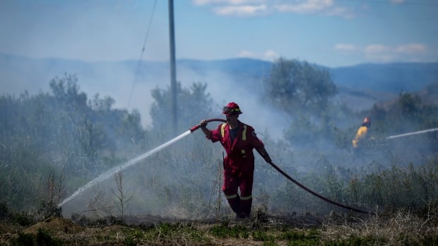 Wildfire fighters work in heavy smoke, and in Canada have little protection