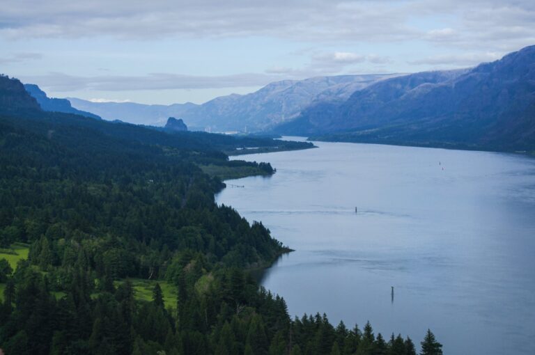 Asian clams’ spread in Columbia River warns of worse invaders