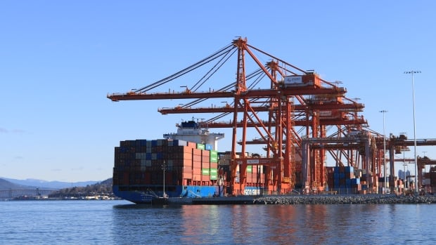 B.C. port workers go on strike, potentially impacting global shipping flows