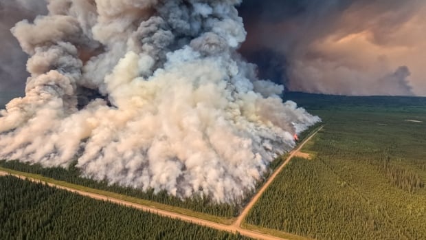 What happens after the Donnie Creek wildfire, now larger than P.E.I., stops burning?