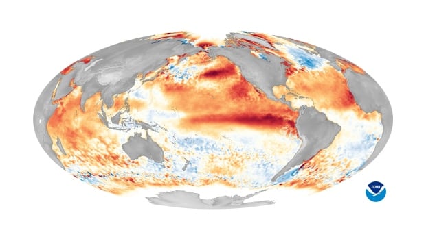 El Niño is back. Here’s what it means for Canada