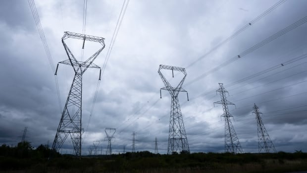 Manitoba Hydro says aging infrastructure poses threat to future power supply, requires billions in fixes