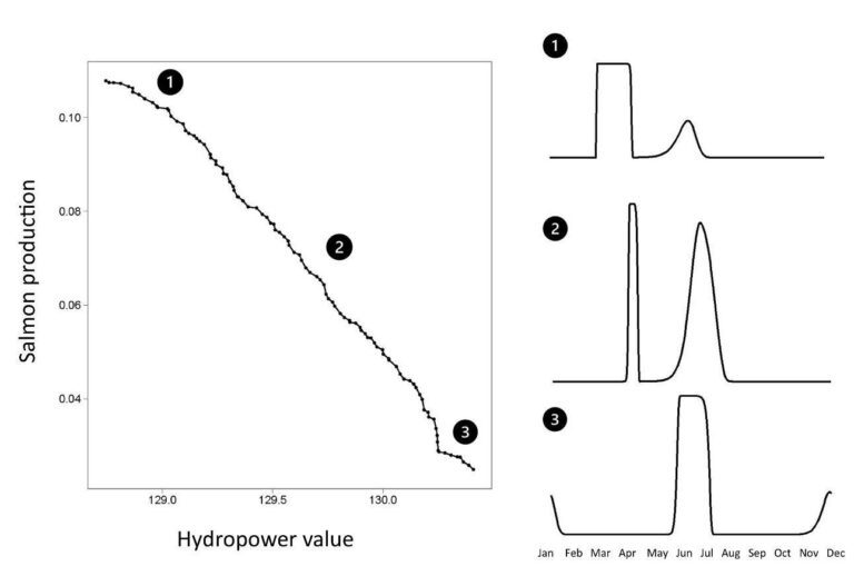 Conflicts between salmon needs and those of competing water users