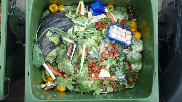 Ottawa urged to look into best-before date system to reduce grocery waste