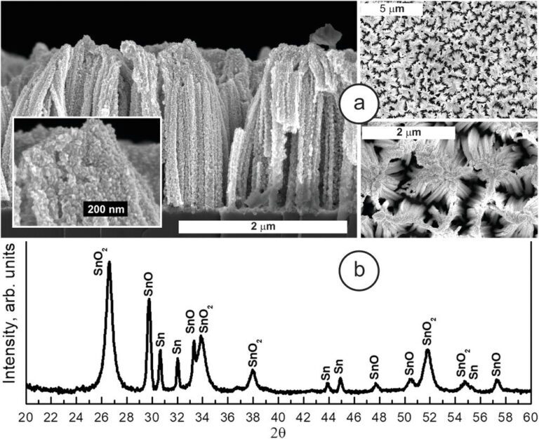 Targeted control of growth dynamics of finest tin layers