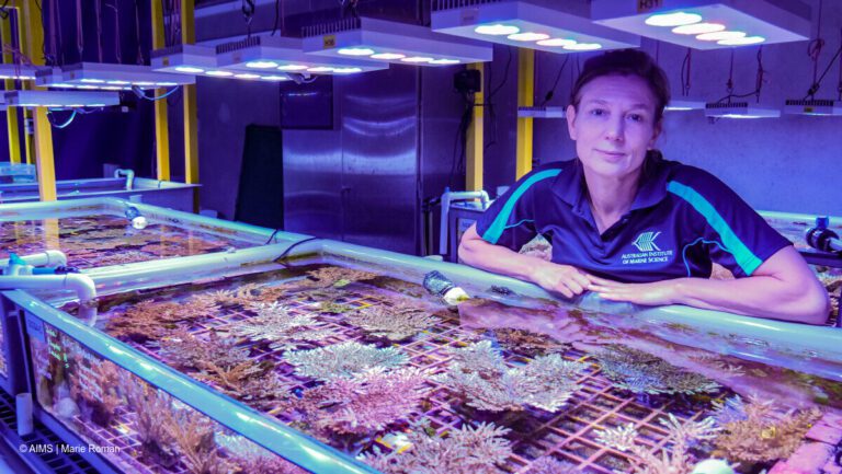 Scientists devise approach for selecting coral species for reef restoration