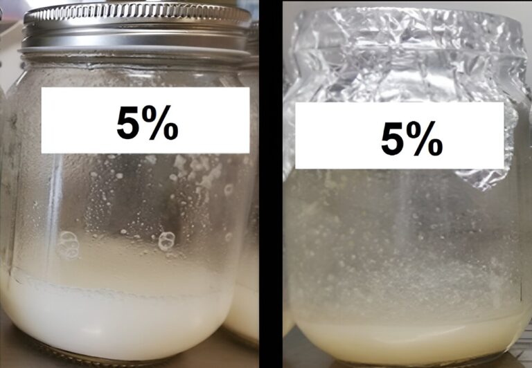 How heat treatment affects a milk alternative made from rice and coconut water