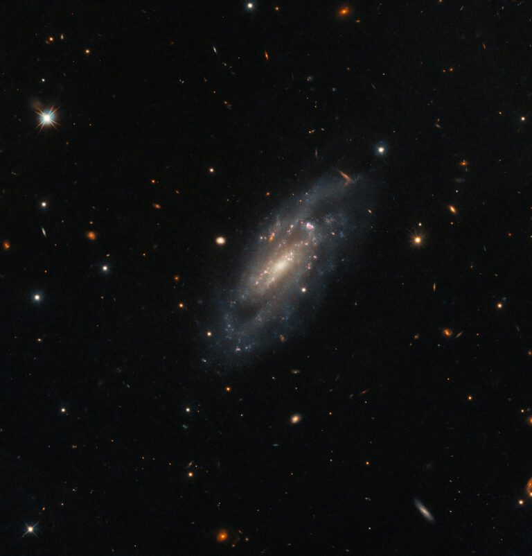 Hubble observes spiral galaxy UGC 11860