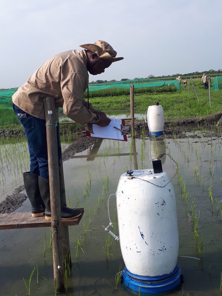 In search of rice to reduce methane emissions